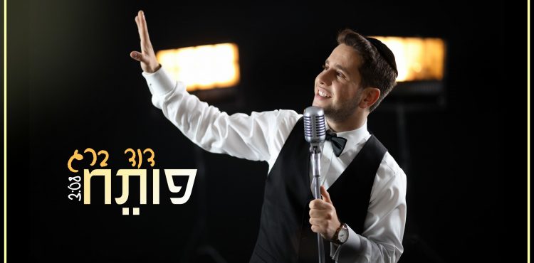 Dovid Berg - Poteach