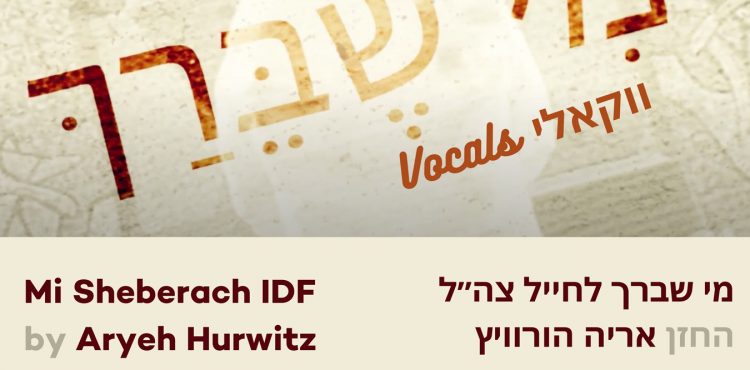 Aryeh Hurwitz - Mi Sheberach IDF