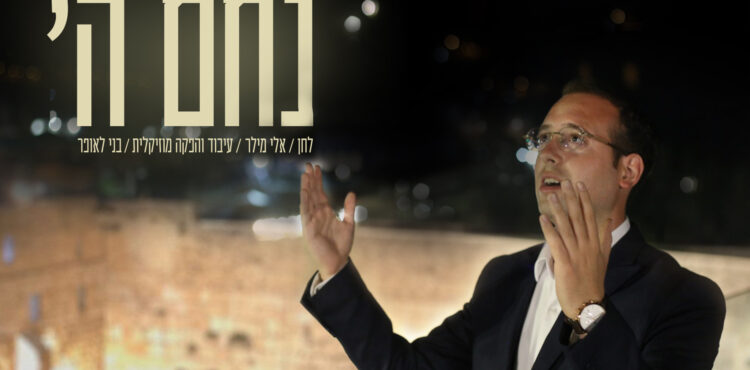 Eli Miller - Nacheim Hashem