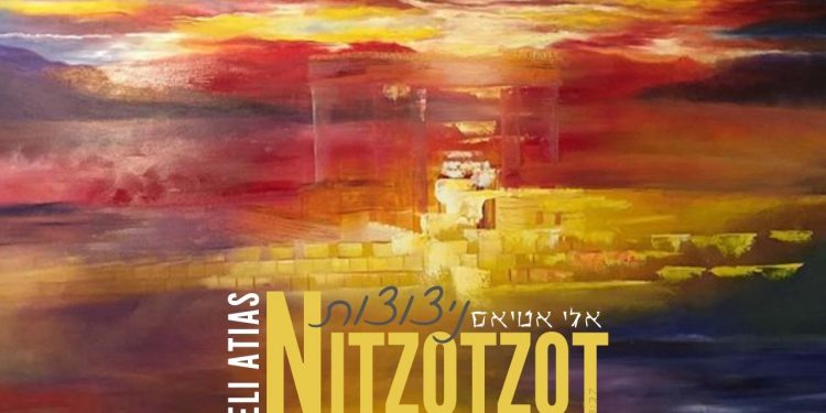 Nitzotzot cover