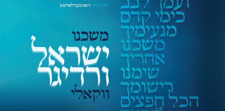 Yisroel Werdyger - Moshcheini