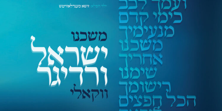 Yisroel Werdyger - Moshcheini