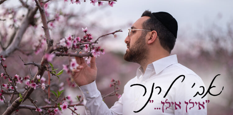 מלבן(132)