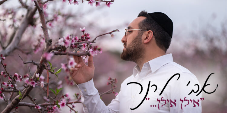 מלבן(132)