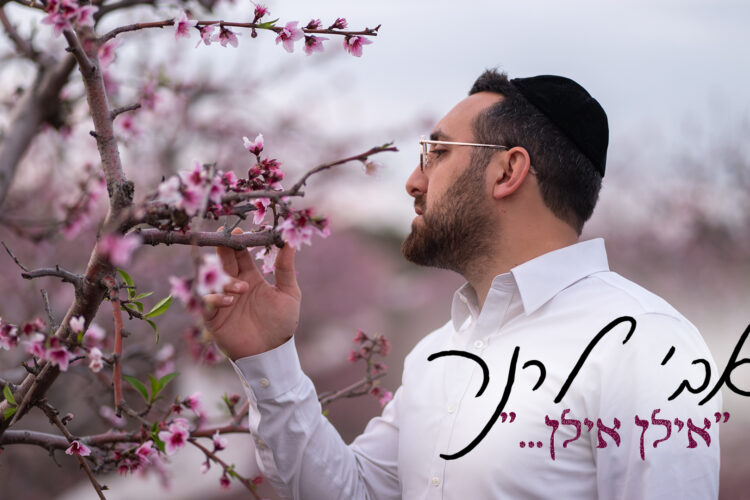 מלבן(132)